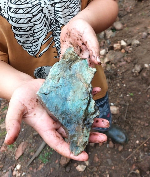 Geologist-led Mineral Collecting Field Trip - Kid's Ticket