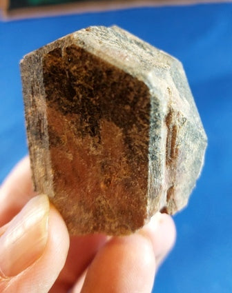 Geologist-led Mineral Collecting Field Trip - Kid's Ticket