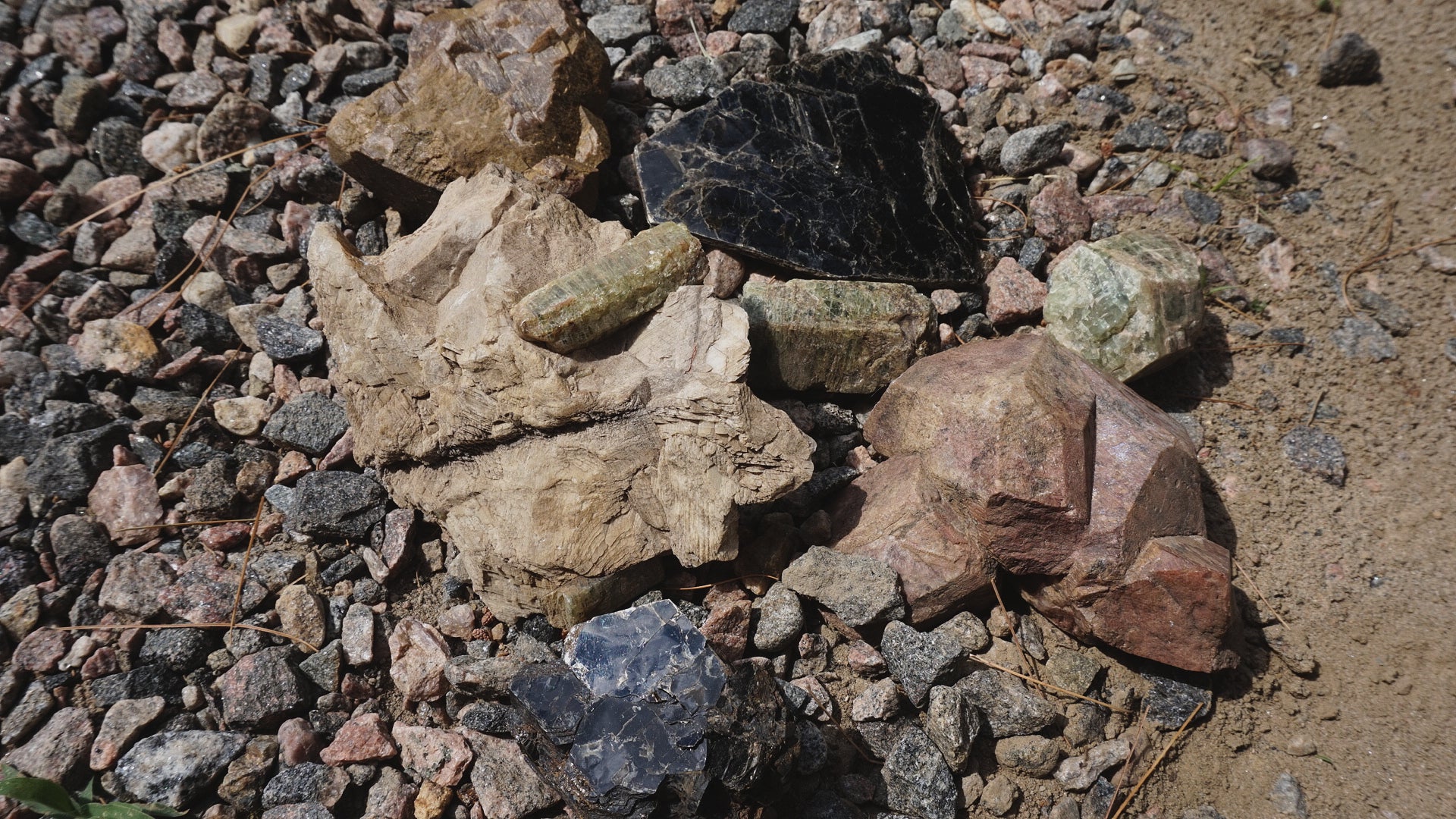 Geologist-led Mineral Collecting Field Trip - Kid's Ticket