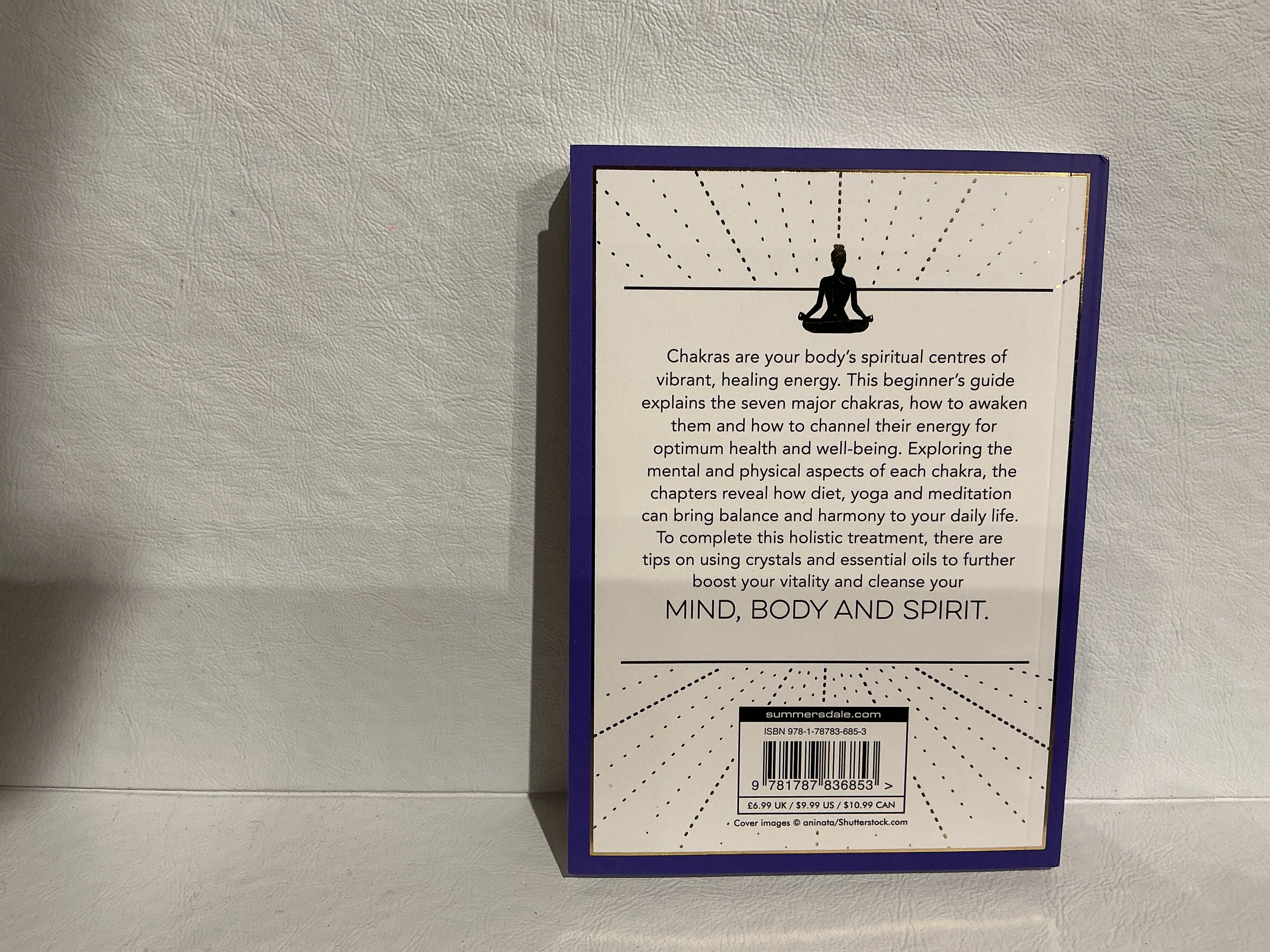 The Little Book of Chakras Elsie Wild