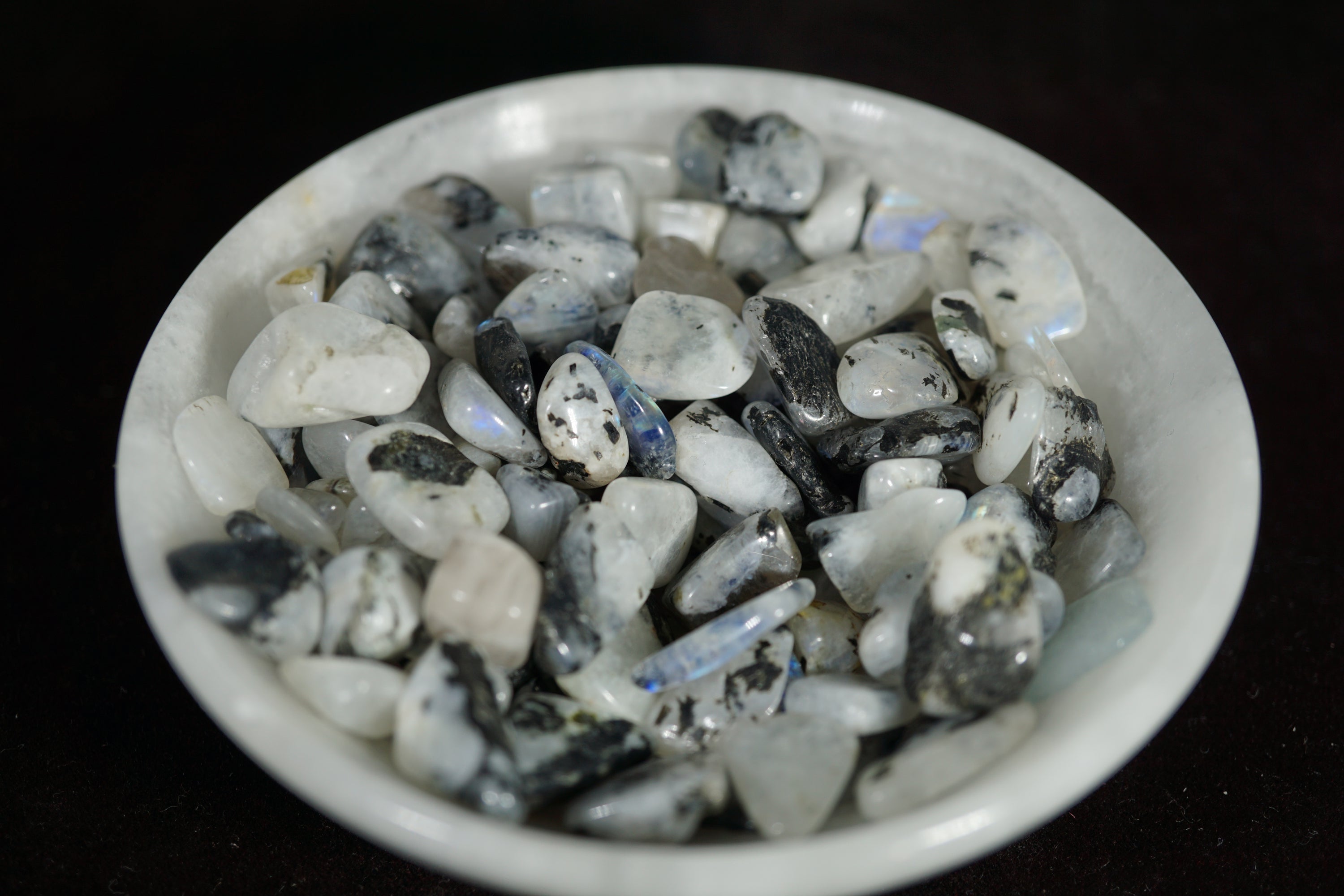 Stone Chips