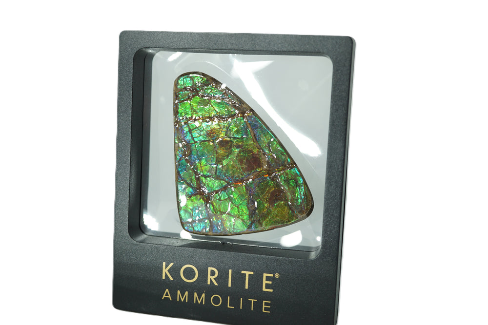 Ammolite