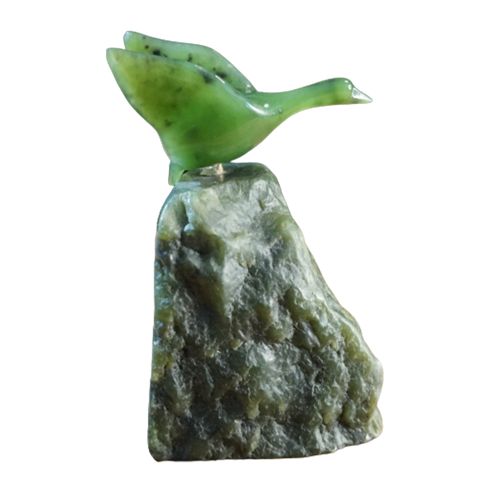 Jade Goose flying on a rock