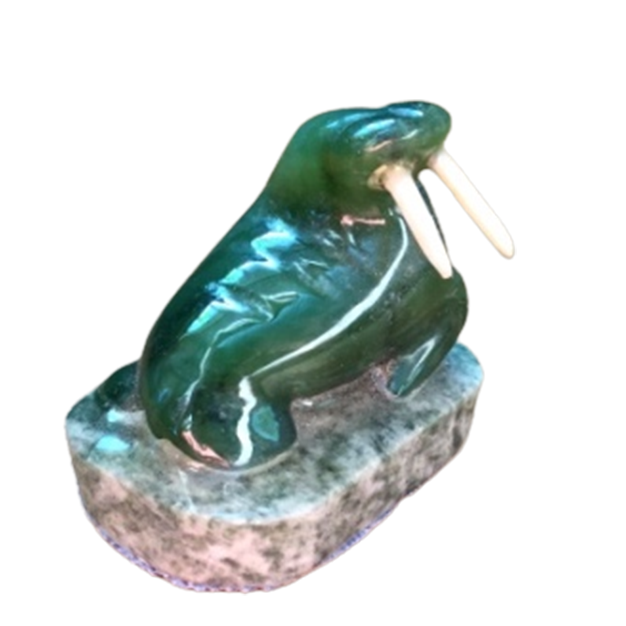 Jade Walrus on Rock